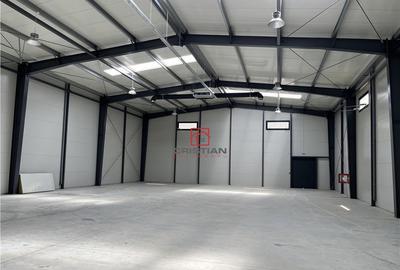 Depozit/hala/spatiu industrial Mogosoaia - Chitila, ILFOV - 12