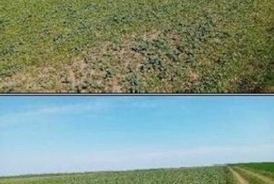 Teren de 5000 mp, în Umbrărești - 1