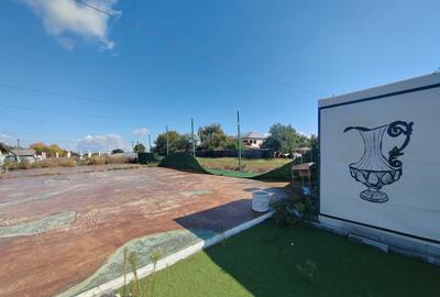 Gagu Dascalu teren ideal pentru investitie zona in dezvol... - 6