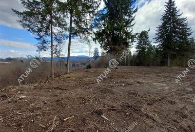 Teren intravilan 2000 mp de vanzare pe Valea Avrigului loc Avrig - 3