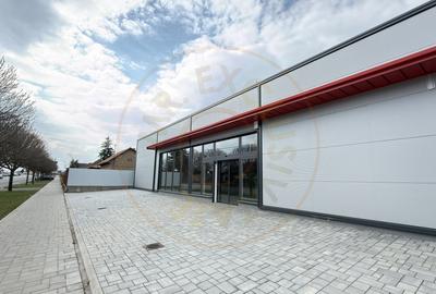 Spațiu comercial, de 296 mp, în Carei - 5