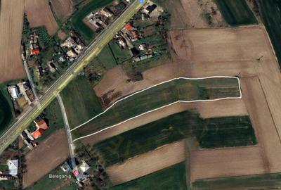 Terenuri de vanzare 6568 mp, Oarja AG Terenuri de vanzare 6568 mp, Oarja AG - 3