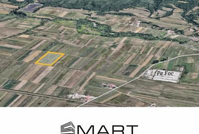 Teren extravilan de vanzare 5000 mp, ?elimbar (Mohu)