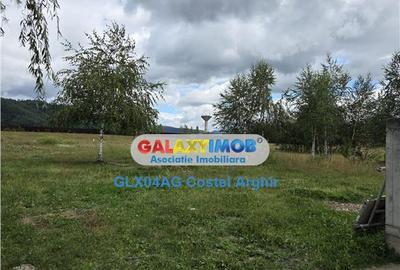 Vindem terenuri intravilane in Campulung - Arges 3400 si 180 - 1