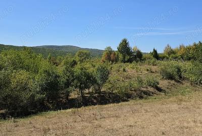 Casă cu 2 camere în Chicerea - 4