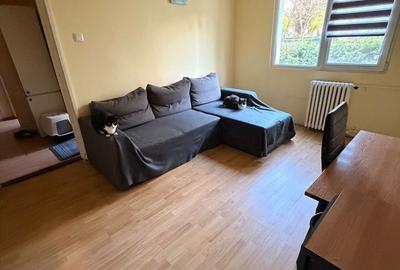 Apartament cu 2 camere semidecomandat în Dosu Bricii - 1