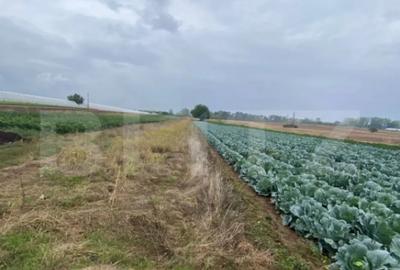 Teren de 4700 mp, în Central