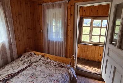 Casă cu 7 camere cu Teren 2000 Mp în Dâmbovicioara - 9