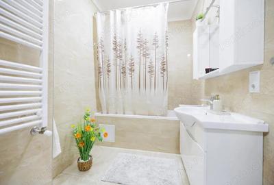 Apartament cu 2 camere în Baba Novac - 2