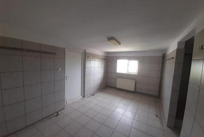 Inchiriere Hala in Negoiesti, judetul Prahova (ID 821) - 7