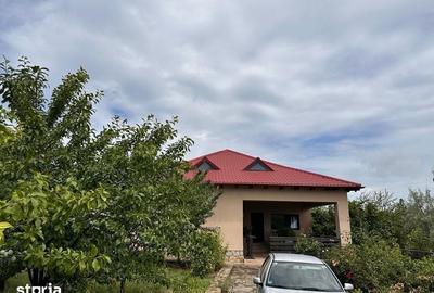 Casă cu 4 camere cu Teren 1420 Mp în Pietroasele
