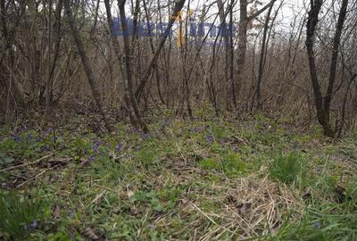 VAND CASA DEMOLABILA+6700 MP TEREN,PRIVELISTE PANORAMICA,DEJ - 6