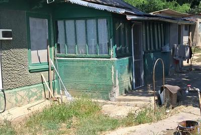 Vand casa la tara - 5