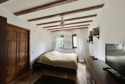 Casa de lemn cu teren generos de 1312 mp de vanzare in Fundulea - 37
