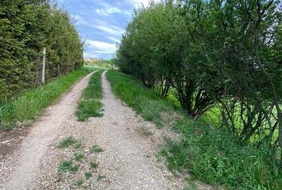 RECO Teren intravilan in  Saldabagiu de munte 985mp - 1