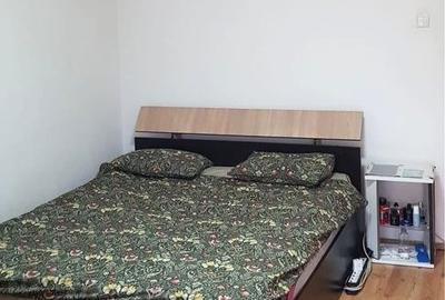 Drumul Taberei, Bd. 1 Mai, Drumetul, M. Favorit - 3