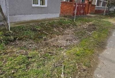 Casă cu 4 camere în Zerind - 3