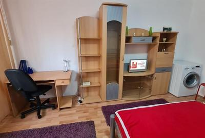 Garsoniera Spatioasa zona Blascovici - 5