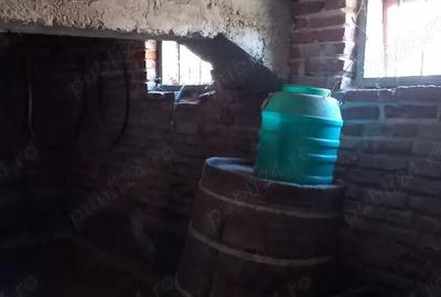 Casă cu Teren 3500 Mp în Central - 3