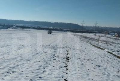 Teren de 6323 mp, în Burdujeni - 2