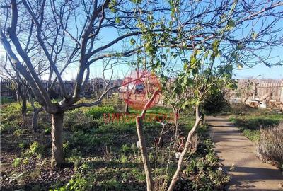 Casă cu Teren 2500 Mp în Lazu - 16