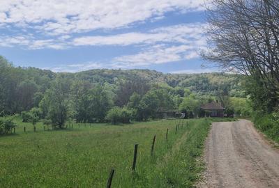 Spațiu comercial, în Central - 2