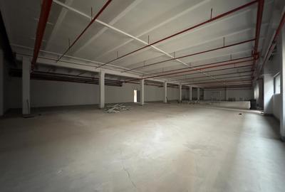 Spatii depozitare, restaurant, birouri, de la 400mp la 1600mp, zona C. Felicia - 12