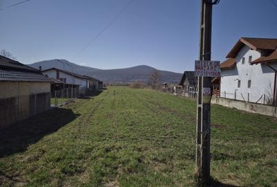 Teren de 2700 mp, în Exterior Vest - 4