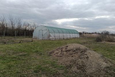 Spațiu comercial, în Central - 2