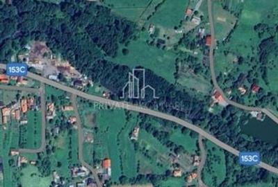 Teren Intravilan 1,2 Hectare de Vanzare, Sat Tisieu, Com. Ibanesti - 1