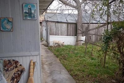 Vand casa cu teren - 3