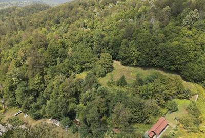 Teren intravilan de 1500 mp pe deal in Moneasa - 5