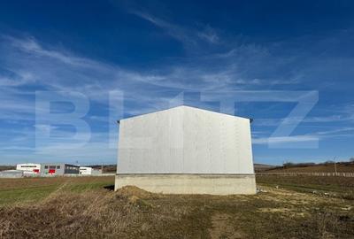 Spațiu industrial, de 336 mp, în Exterior Vest - 9