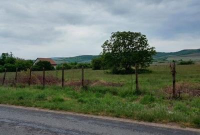 Teren de 11780 mp, în Merei - 7