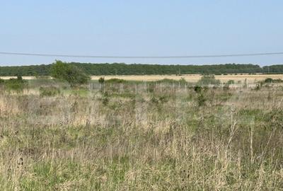 Teren intravilan, 500/900mp, zona Grigorescu 2 - 1