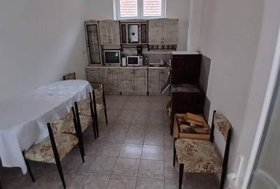 Casă individuală cu 7 camere cu Canalizare în Păltiniș - 7