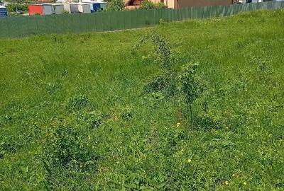 Teren de 2926 mp, în Ciritei - 8