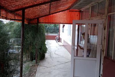 Casă în Iecea Mare - 1