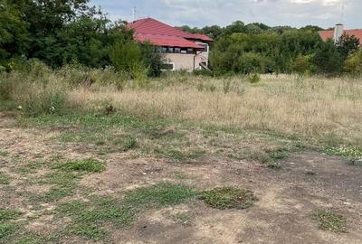 Vand teren 3774 mp Pădurea Scrovistea Peris Balteni - 3