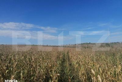 Teren de 3000 mp, în Miroslava - 4