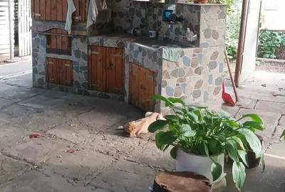 Casa de vanzare cu teren - 7