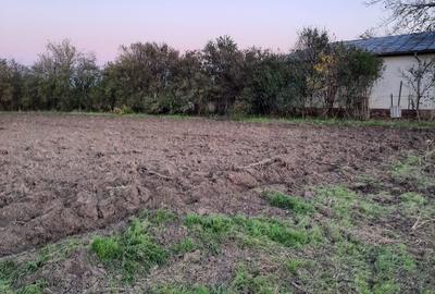 Teren intravilan Plataresti 1500 mp - 2