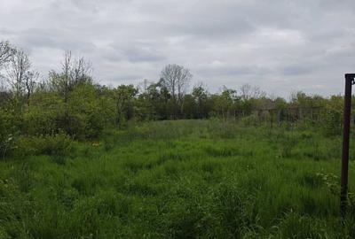 Casă cu 3 camere decomandat în Uliești - 1