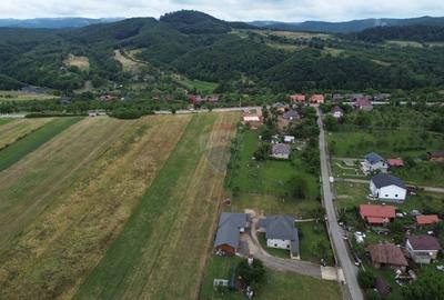 Teren 800mp Coas / Strada Principala - 1