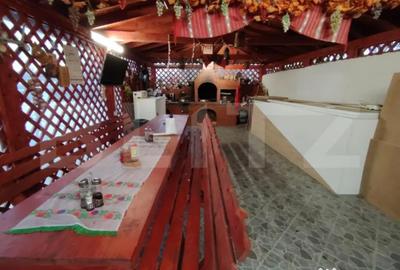 Casă cu 4 camere cu Teren 980 Mp în Craiovița Nouă - 11