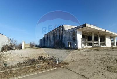 Spațiu industrial, de 5,000 mp, în Niculițel - 5