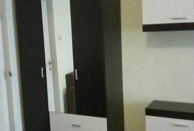 Micsunica, garsonieras mobilata, parter, 250 euro - 3