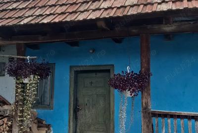 Casa rustica de vanzare - 2