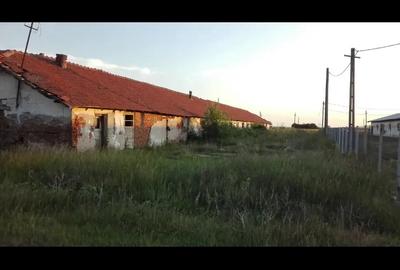 Inchiriez ferma hala depozit spatiu comercial 2550 mp.Silistea jud.Teleorman la 20 km.de A1,60 Buc - 10