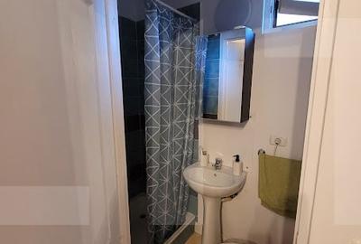 CABANA  LA 3 INSULE CU  IESIRE LA MURES LA PRET DE GARSONIERA CABANA  LA 3 INSULE CU  IESIRE LA MURES LA PRET DE GARSONIERA - 3